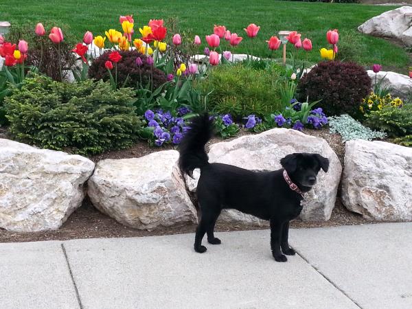 /Images/uploads/Humane Society of Utah/HSUCalendar/entries/909thumb.jpg